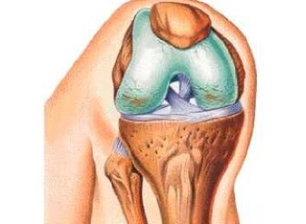 The main causes of the knee joint